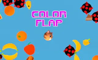 Play Color Flap online - Glouplay