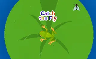Play Catch the Fly online - Glouplay