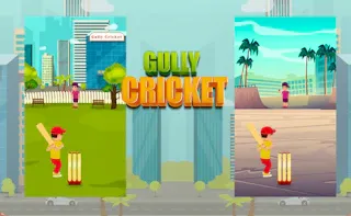 Play Gully Cricket online - Glouplay