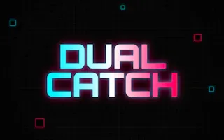 Play Dual Catch online - Glouplay