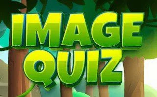 Play Image Quiz online - Glouplay