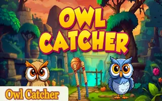 Play Owl Catcher online - Glouplay