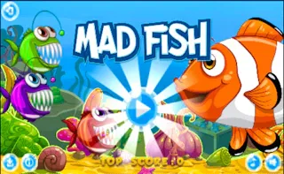 Play Mad Fish online - Glouplay