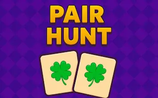 Play Pair Hunt online - Glouplay