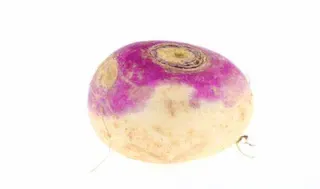 Play Turnip online - Glouplay