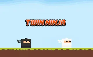 Play Twin Ninja online - Glouplay